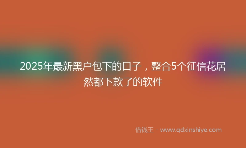 2025年最新黑户包下的口子，整合5个征信花居然都下款了的软件