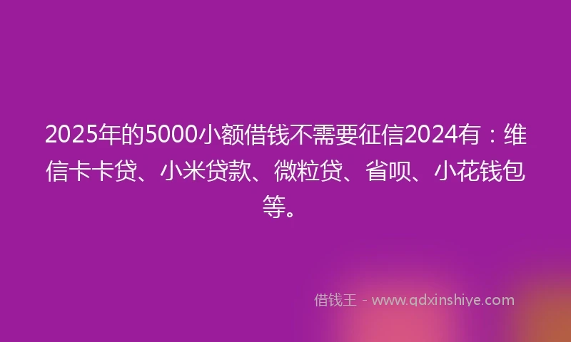 2025年的5000小额借钱不需要征信2024有：维信卡卡贷、小米贷款、微粒贷、省呗、小花钱包等。