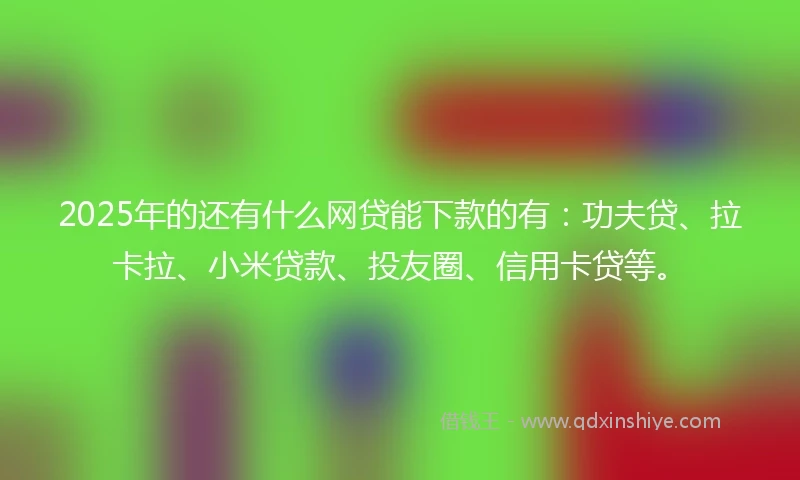 2025年的还有什么网贷能下款的有：功夫贷、拉卡拉、小米贷款、投友圈、信用卡贷等。