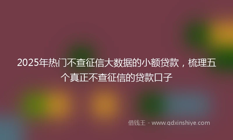 2025年热门不查征信大数据的小额贷款，梳理五个真正不查征信的贷款口子