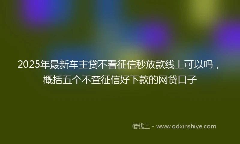 2025年最新车主贷不看征信秒放款线上可以吗，概括五个不查征信好下款的网贷口子
