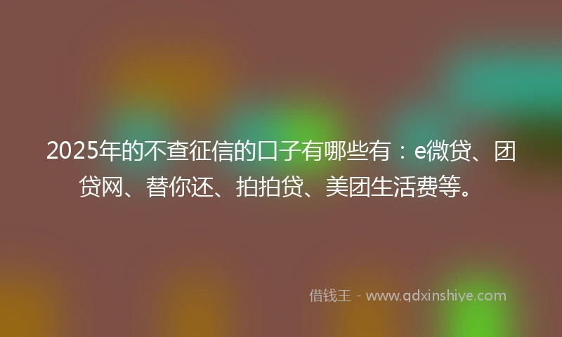 2025年的不查征信的口子有哪些有：e微贷、团贷网、替你还、拍拍贷、美团生活费等。