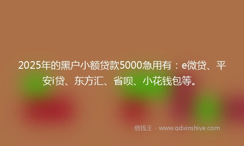 2025年的黑户小额贷款5000急用有：e微贷、平安i贷、东方汇、省呗、小花钱包等。