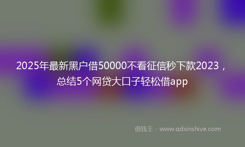 2025年最新黑户借50000不看征信秒下款2023，总结5个网贷大口子轻松借app