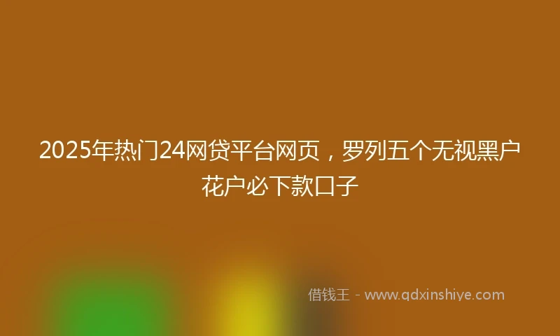 2025年热门24网贷平台网页，罗列五个无视黑户花户必下款口子