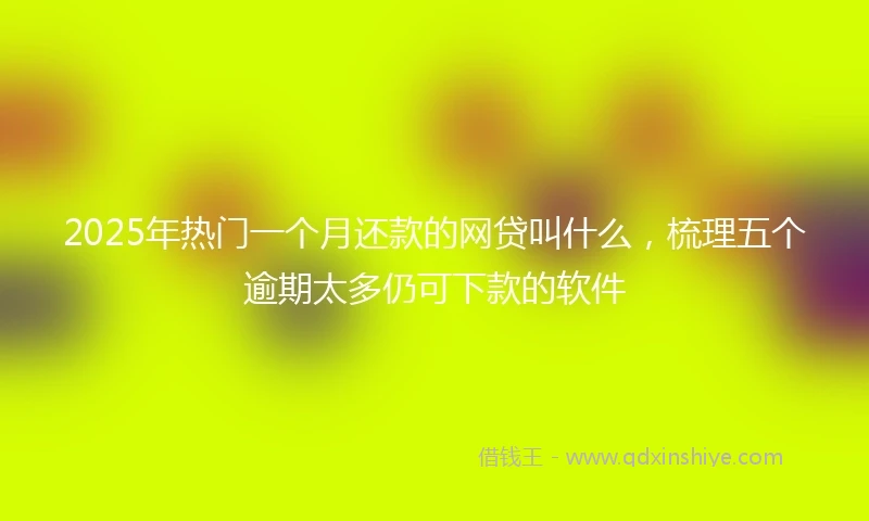 2025年热门一个月还款的网贷叫什么，梳理五个逾期太多仍可下款的软件