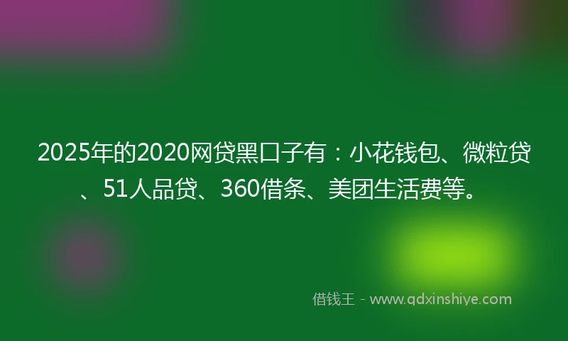 2025年的2020网贷黑口子有：小花钱包、微粒贷、51人品贷、360借条、美团生活费等。