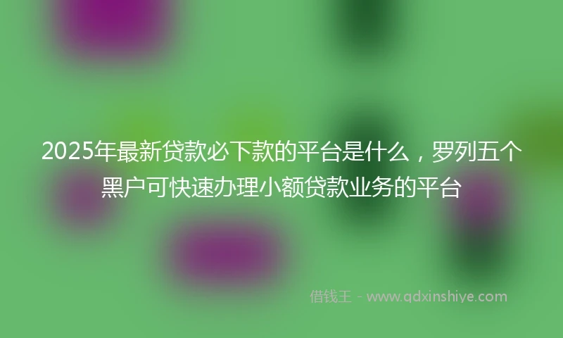 2025年最新贷款必下款的平台是什么，罗列五个黑户可快速办理小额贷款业务的平台