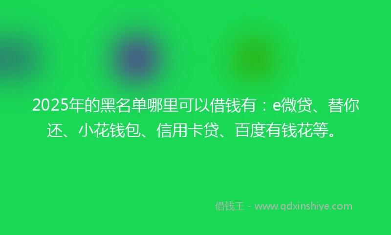 2025年的黑名单哪里可以借钱有：e微贷、替你还、小花钱包、信用卡贷、百度有钱花等。