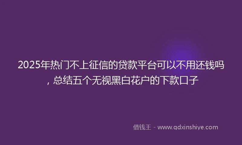 2025年热门不上征信的贷款平台可以不用还钱吗，总结五个无视黑白花户的下款口子