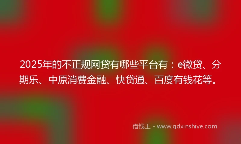 2025年的不正规网贷有哪些平台有：e微贷、分期乐、中原消费金融、快贷通、百度有钱花等。