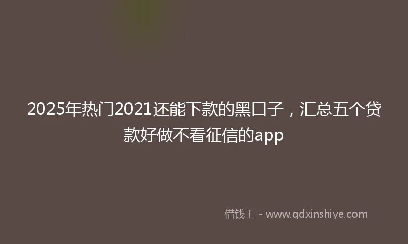 2025年热门2021还能下款的黑口子，汇总五个贷款好做不看征信的app