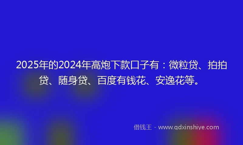 2025年的2024年高炮下款口子有：微粒贷、拍拍贷、随身贷、百度有钱花、安逸花等。