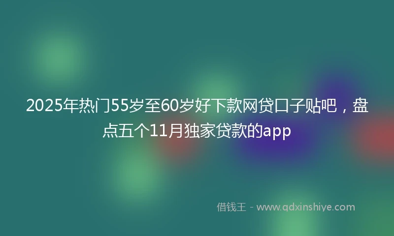 2025年热门55岁至60岁好下款网贷口子贴吧，盘点五个11月独家贷款的app