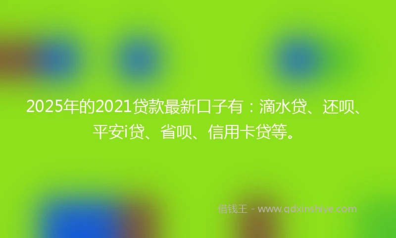 2025年的2021贷款最新口子有：滴水贷、还呗、平安i贷、省呗、信用卡贷等。