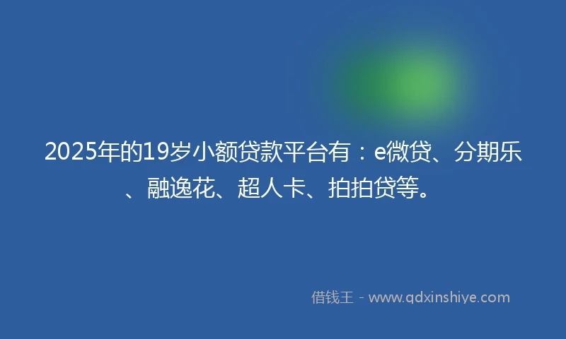 2025年的19岁小额贷款平台有：e微贷、分期乐、融逸花、超人卡、拍拍贷等。