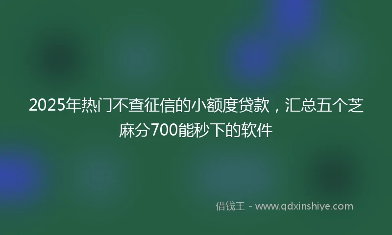 2025年热门不查征信的小额度贷款，汇总五个芝麻分700能秒下的软件