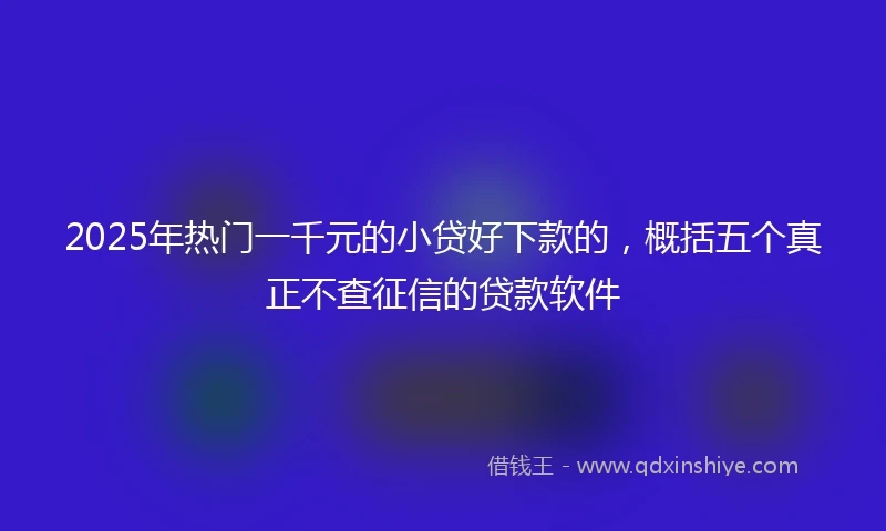 2025年热门一千元的小贷好下款的，概括五个真正不查征信的贷款软件