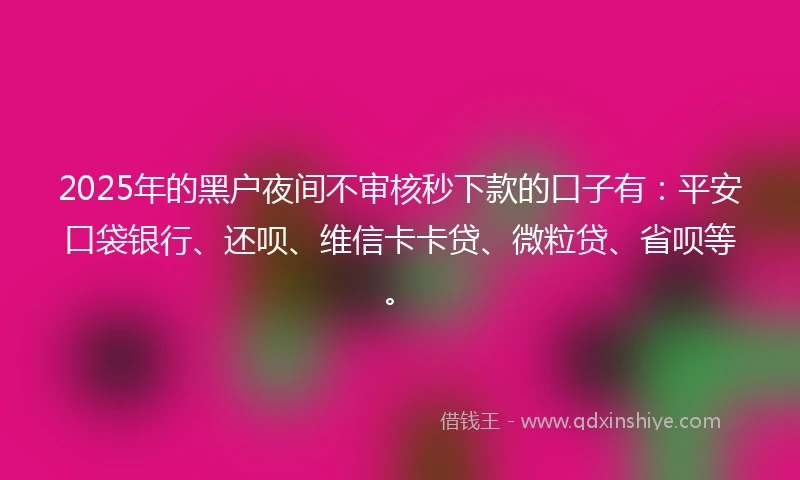 2025年的黑户夜间不审核秒下款的口子有：平安口袋银行、还呗、维信卡卡贷、微粒贷、省呗等。