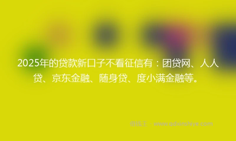 2025年的贷款新口子不看征信有：团贷网、人人贷、京东金融、随身贷、度小满金融等。