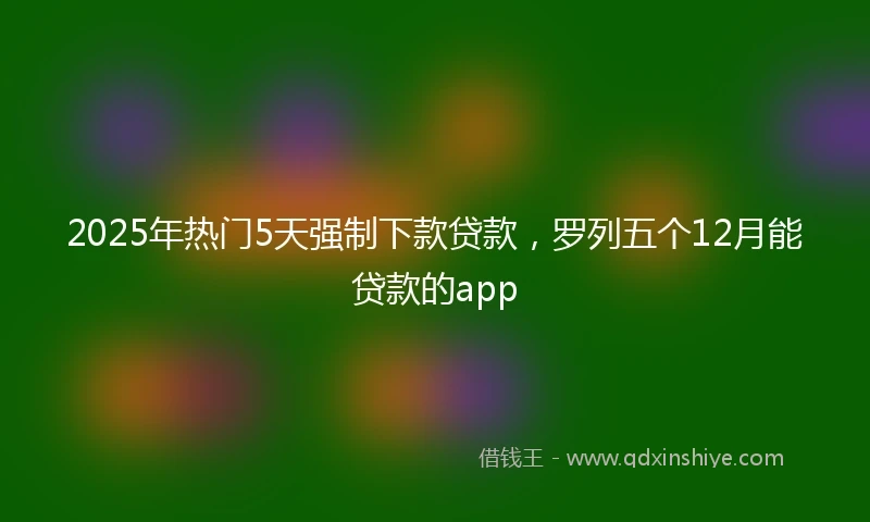 2025年热门5天强制下款贷款，罗列五个12月能贷款的app