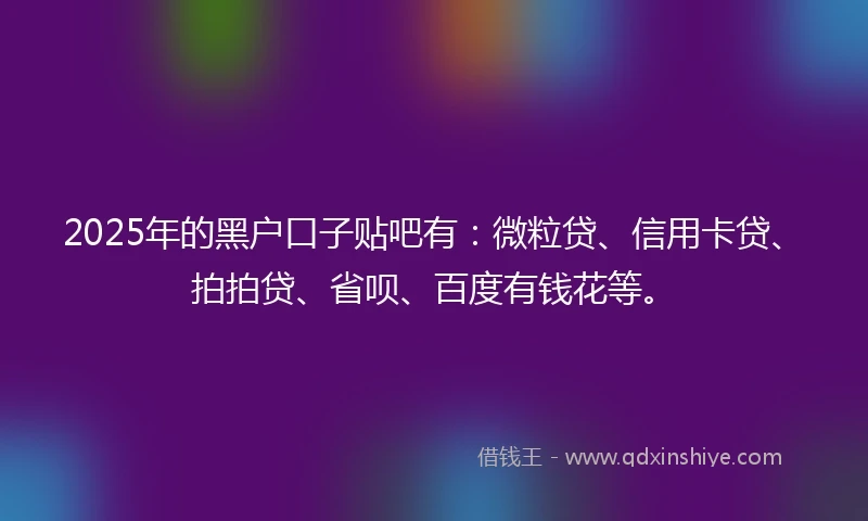 2025年的黑户口子贴吧有：微粒贷、信用卡贷、拍拍贷、省呗、百度有钱花等。
