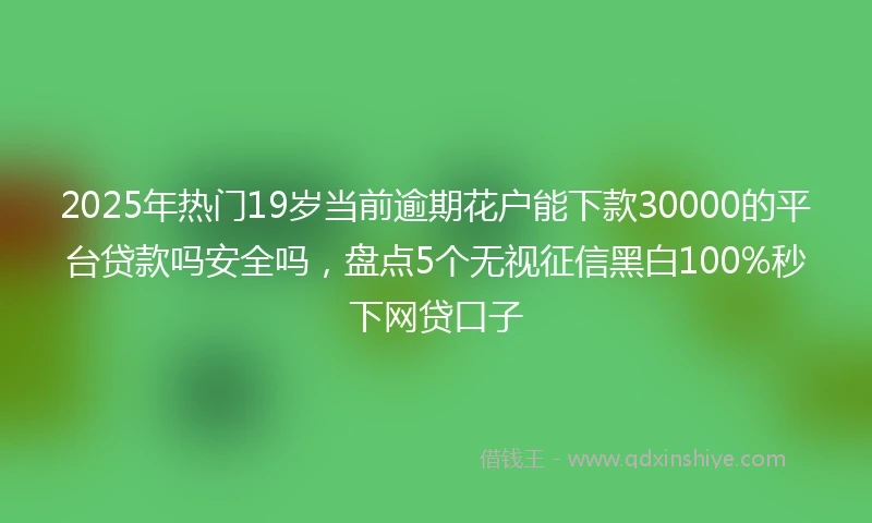 2025年热门19岁当前逾期花户能下款30000的平台贷款吗安全吗，盘点5个无视征信黑白100%秒下网贷口子