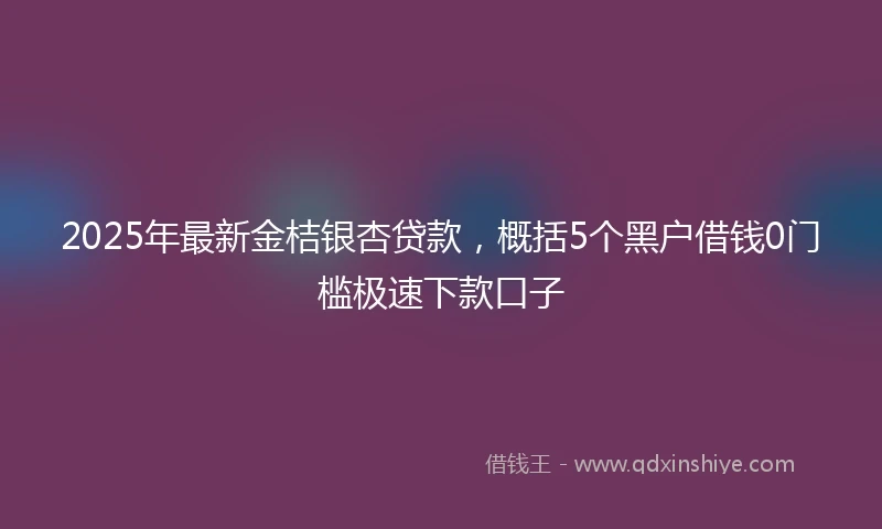 2025年最新金桔银杏贷款，概括5个黑户借钱0门槛极速下款口子