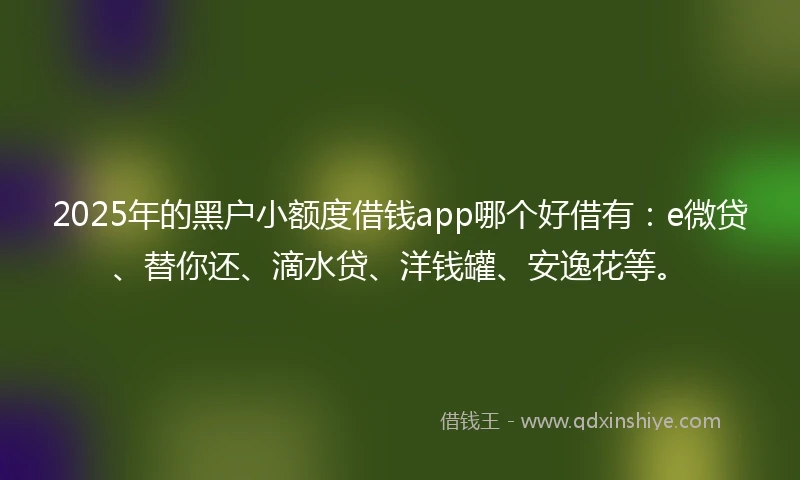 2025年的黑户小额度借钱app哪个好借有：e微贷、替你还、滴水贷、洋钱罐、安逸花等。