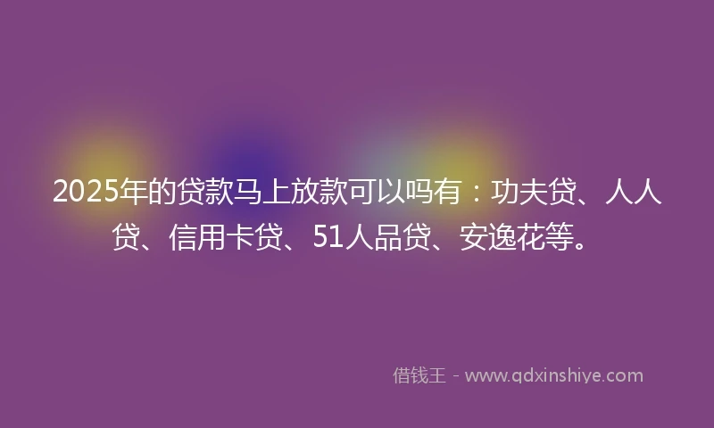 2025年的贷款马上放款可以吗有：功夫贷、人人贷、信用卡贷、51人品贷、安逸花等。