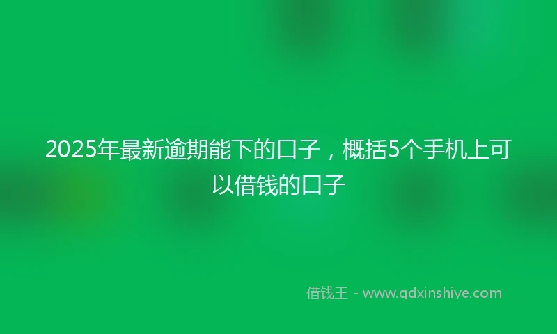 2025年最新逾期能下的口子，概括5个手机上可以借钱的口子
