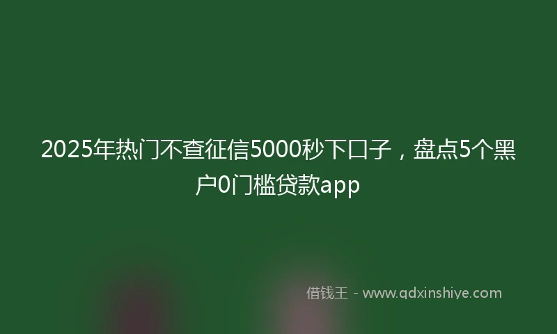 2025年热门不查征信5000秒下口子，盘点5个黑户0门槛贷款app