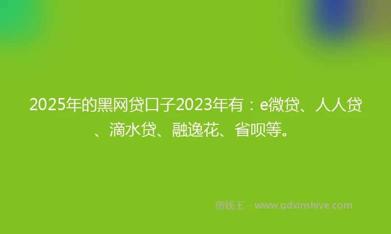 2025年的黑网贷口子2023年有：e微贷、人人贷、滴水贷、融逸花、省呗等。