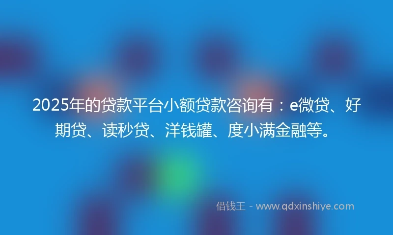 2025年的贷款平台小额贷款咨询有：e微贷、好期贷、读秒贷、洋钱罐、度小满金融等。