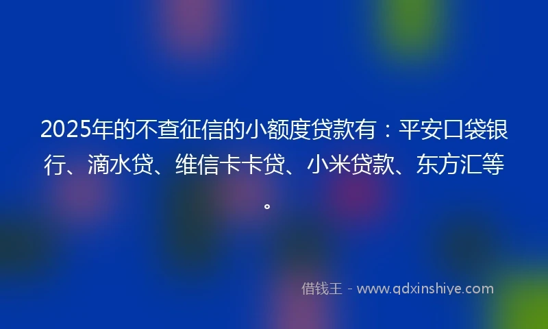 2025年的不查征信的小额度贷款有：平安口袋银行、滴水贷、维信卡卡贷、小米贷款、东方汇等。