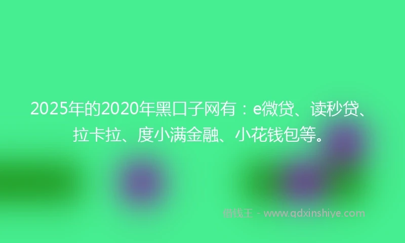 2025年的2020年黑口子网有：e微贷、读秒贷、拉卡拉、度小满金融、小花钱包等。