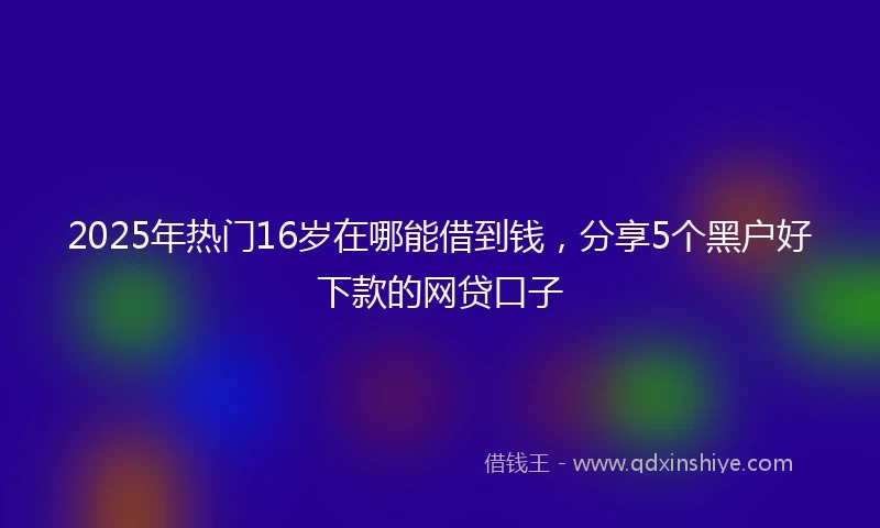 2025年热门16岁在哪能借到钱，分享5个黑户好下款的网贷口子