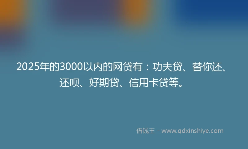 2025年的3000以内的网贷有：功夫贷、替你还、还呗、好期贷、信用卡贷等。