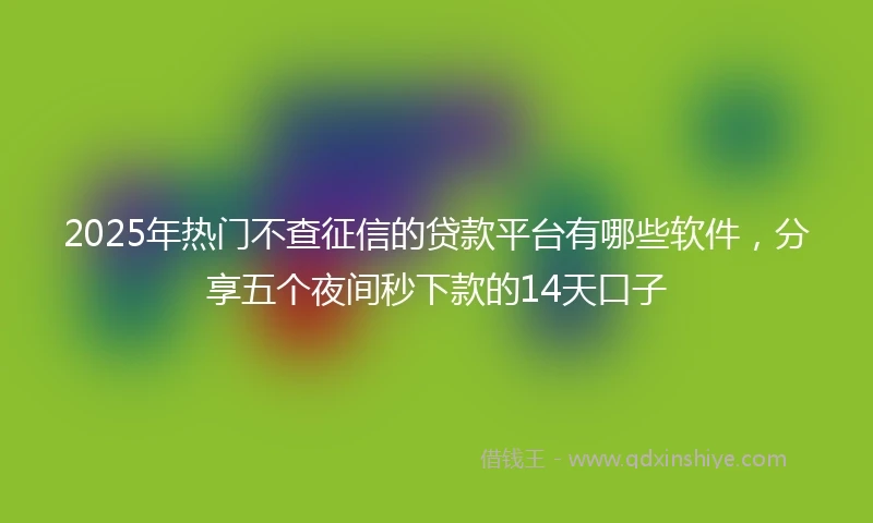 2025年热门不查征信的贷款平台有哪些软件，分享五个夜间秒下款的14天口子