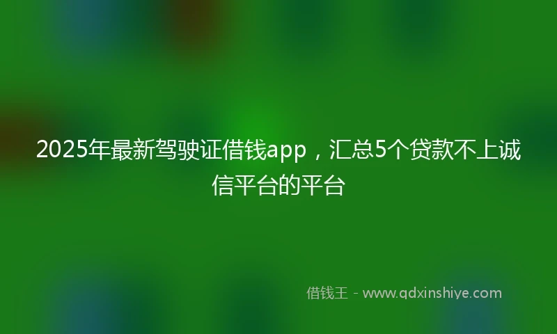 2025年最新驾驶证借钱app，汇总5个贷款不上诚信平台的平台