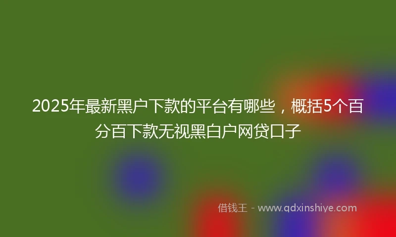 2025年最新黑户下款的平台有哪些，概括5个百分百下款无视黑白户网贷口子