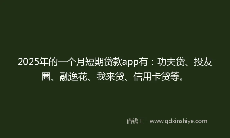 2025年的一个月短期贷款app有：功夫贷、投友圈、融逸花、我来贷、信用卡贷等。