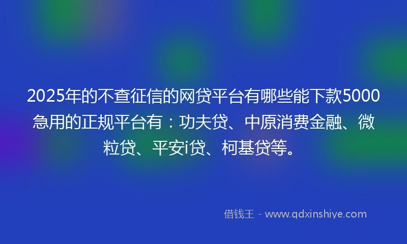 2025年的不查征信的网贷平台有哪些能下款5000急用的正规平台有：功夫贷、中原消费金融、微粒贷、平安i贷、柯基贷等。