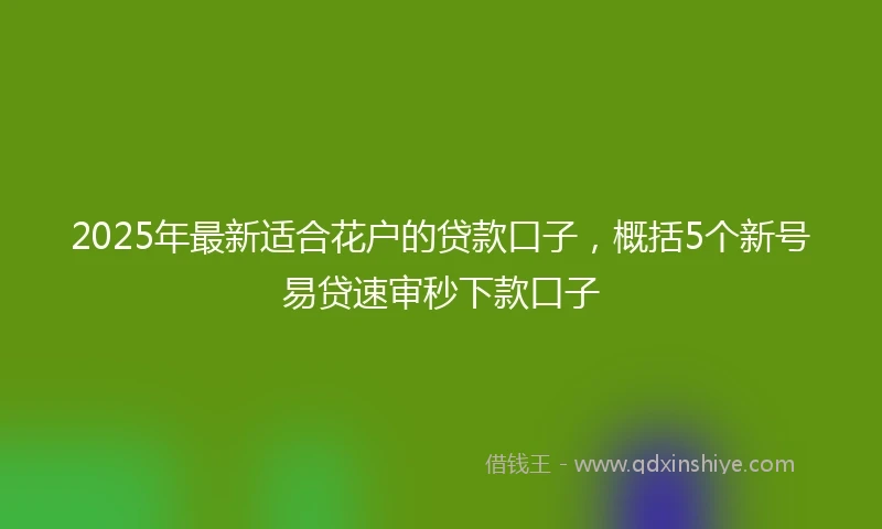 2025年最新适合花户的贷款口子，概括5个新号易贷速审秒下款口子