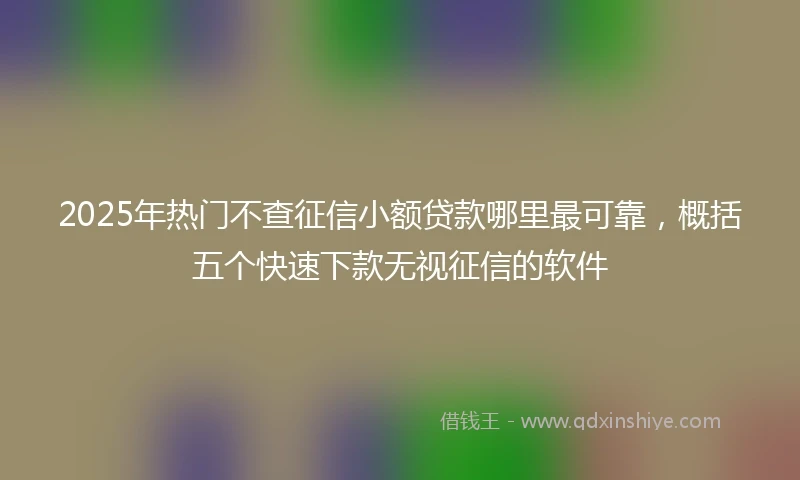 2025年热门不查征信小额贷款哪里最可靠，概括五个快速下款无视征信的软件