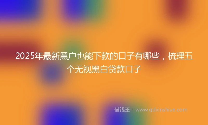 2025年最新黑户也能下款的口子有哪些，梳理五个无视黑白贷款口子