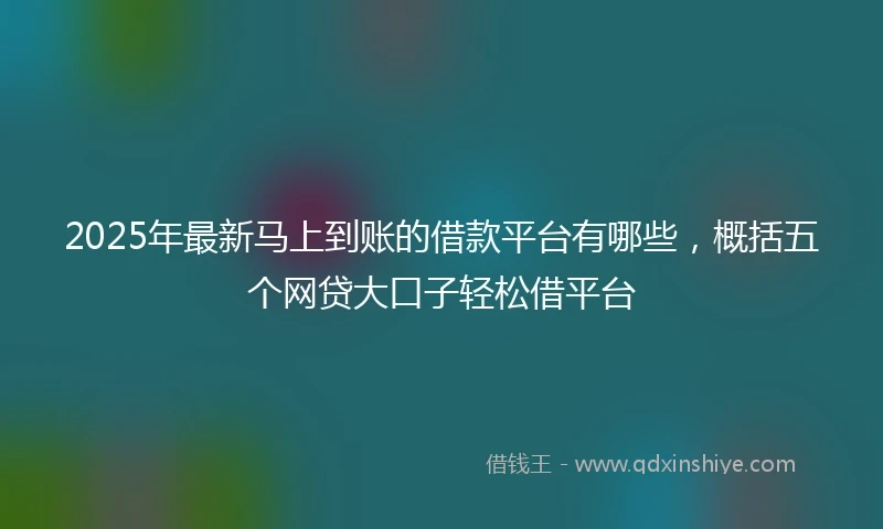 2025年最新马上到账的借款平台有哪些，概括五个网贷大口子轻松借平台