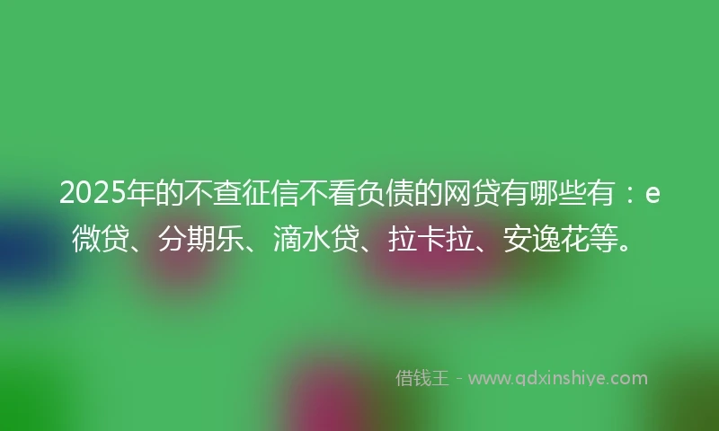 2025年的不查征信不看负债的网贷有哪些有：e微贷、分期乐、滴水贷、拉卡拉、安逸花等。