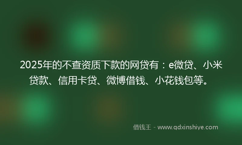 2025年的不查资质下款的网贷有：e微贷、小米贷款、信用卡贷、微博借钱、小花钱包等。