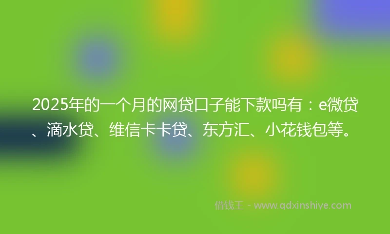 2025年的一个月的网贷口子能下款吗有：e微贷、滴水贷、维信卡卡贷、东方汇、小花钱包等。